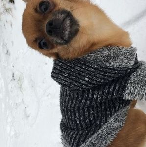 Meet your Posher, Rick